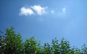 Well, would you want to face Nathan Lyon when the sky is this dark?